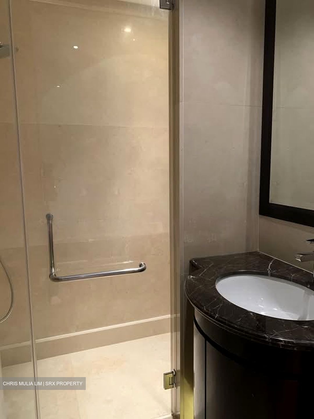 St. Regis Residences (D10), Apartment #532490741